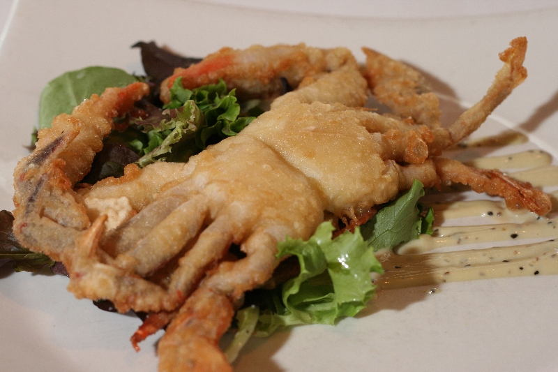 5 Facts About Maryland Soft Shell Crabs Catch 35 Seafood Restaurant,Hypoestes Phyllostachya